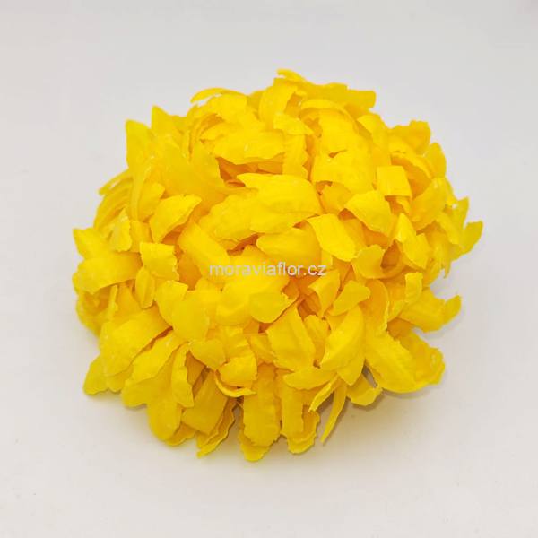 Chrysantéma 1 126 8 003 00-44 12 cm