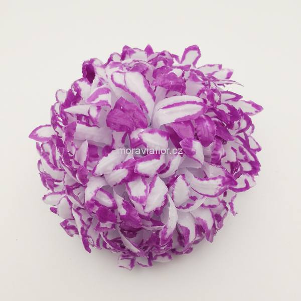 Chrysantéma 51 bílo/fialová 12 cm
