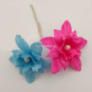 Hvězdička velká 1 115