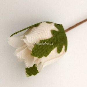 Poupě růže 1 115  14 415 90