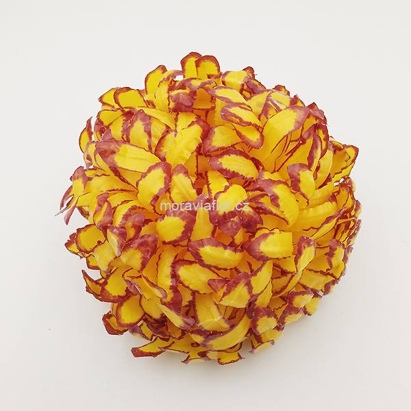 Chrysantéma 49 žluto/hnědá 12 cm