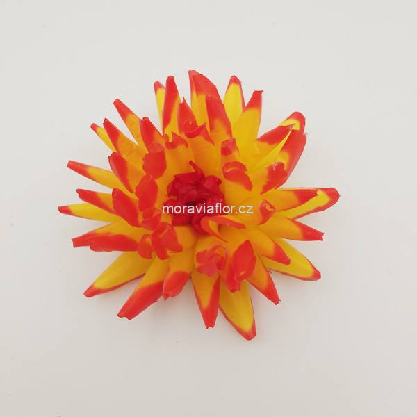 Jiřina malá 343 žlutočervená 10 cm