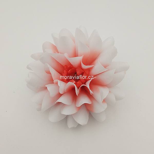 Jiřina střední 221 661 oranžovo bílá 13 cm