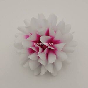 Jiřina střední 126 5 002 80-551