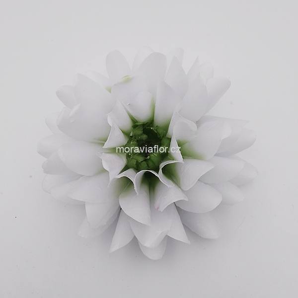 Jiřina střední 771 bílo/zelená 13 cm
