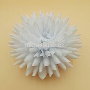 Jiřina velká 1 bílá 15,5 cm