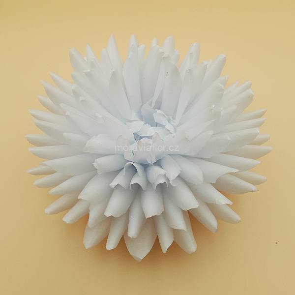 Jiřina velká 1 bílá 15,5 cm