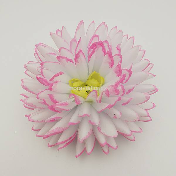 Jiřina velká 312 žluto růžová 15,5 cm