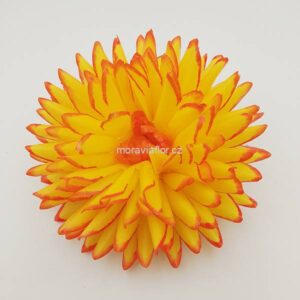 Jiřina velká 646 žluto oranžová 15,5 cm