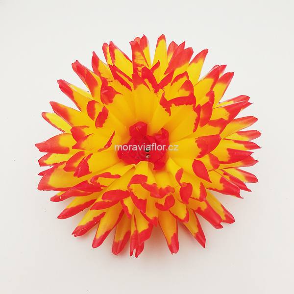 Jiřina velká 343 žluto červená 15,5 cm