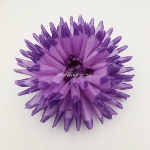 Jiřina velká 555 fialovo fialová 15,5 cm