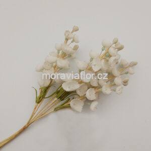 Konvalinky malé zuby 186