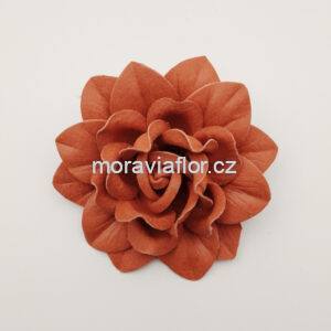 Růže špičatá 412