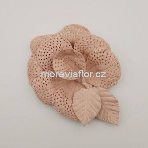 Perforovaný květ 442