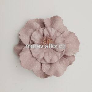 Květ s pestíky 472