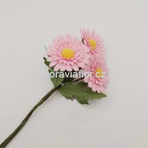 Kopretina, Astra 477