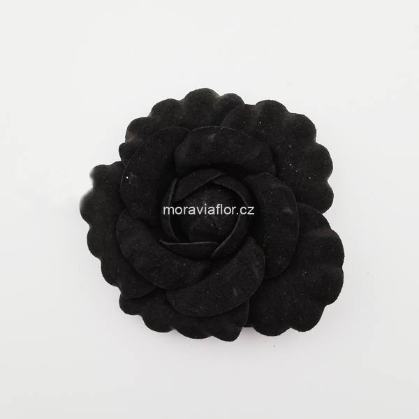 Kamelie 573