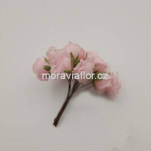 Svazek růžiček 581