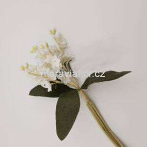 Konvalinka velké zuby 882