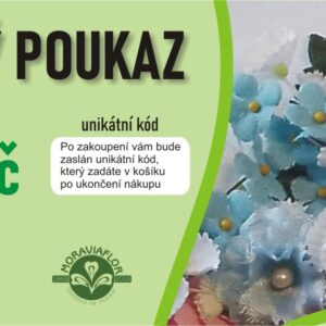 Dárkový poukaz 1000