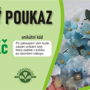 Dárkový poukaz 2000